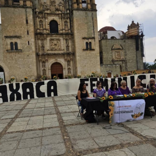 Denuncian siete años de impunidad en el asesinato de la foto periodista María del Sol Cruz